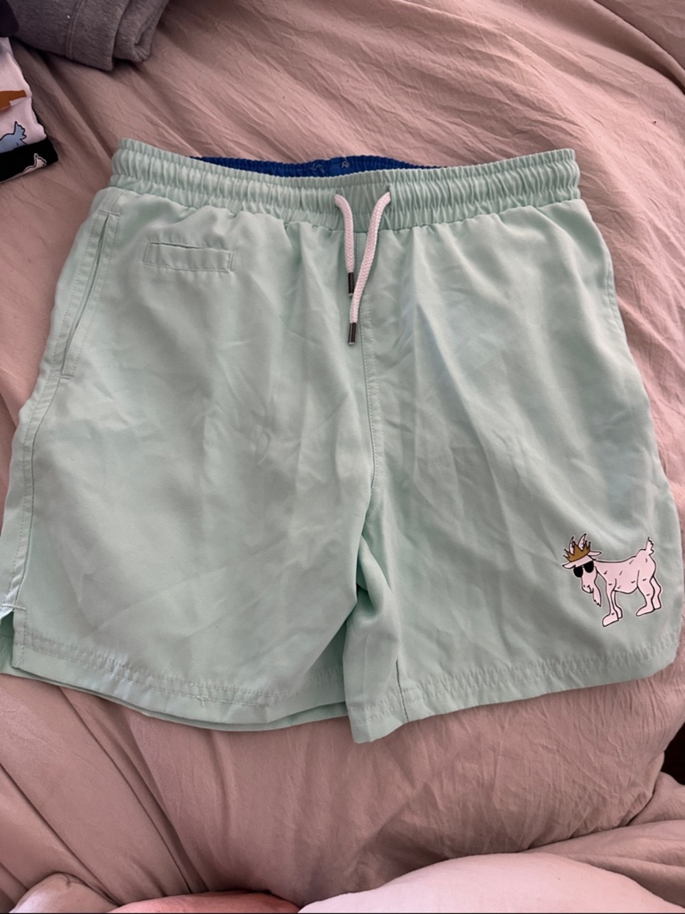 Kids size large mint goat bathing suit